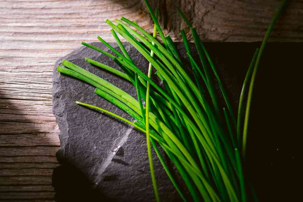 Erba cipollina (Allium&nbsp;schoenoprasum)