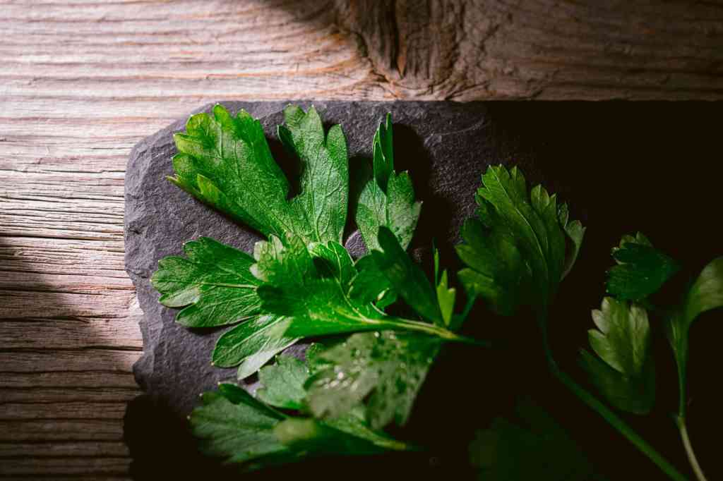 Prezzemolo (Petroselinum sativum o&nbsp;hortense)